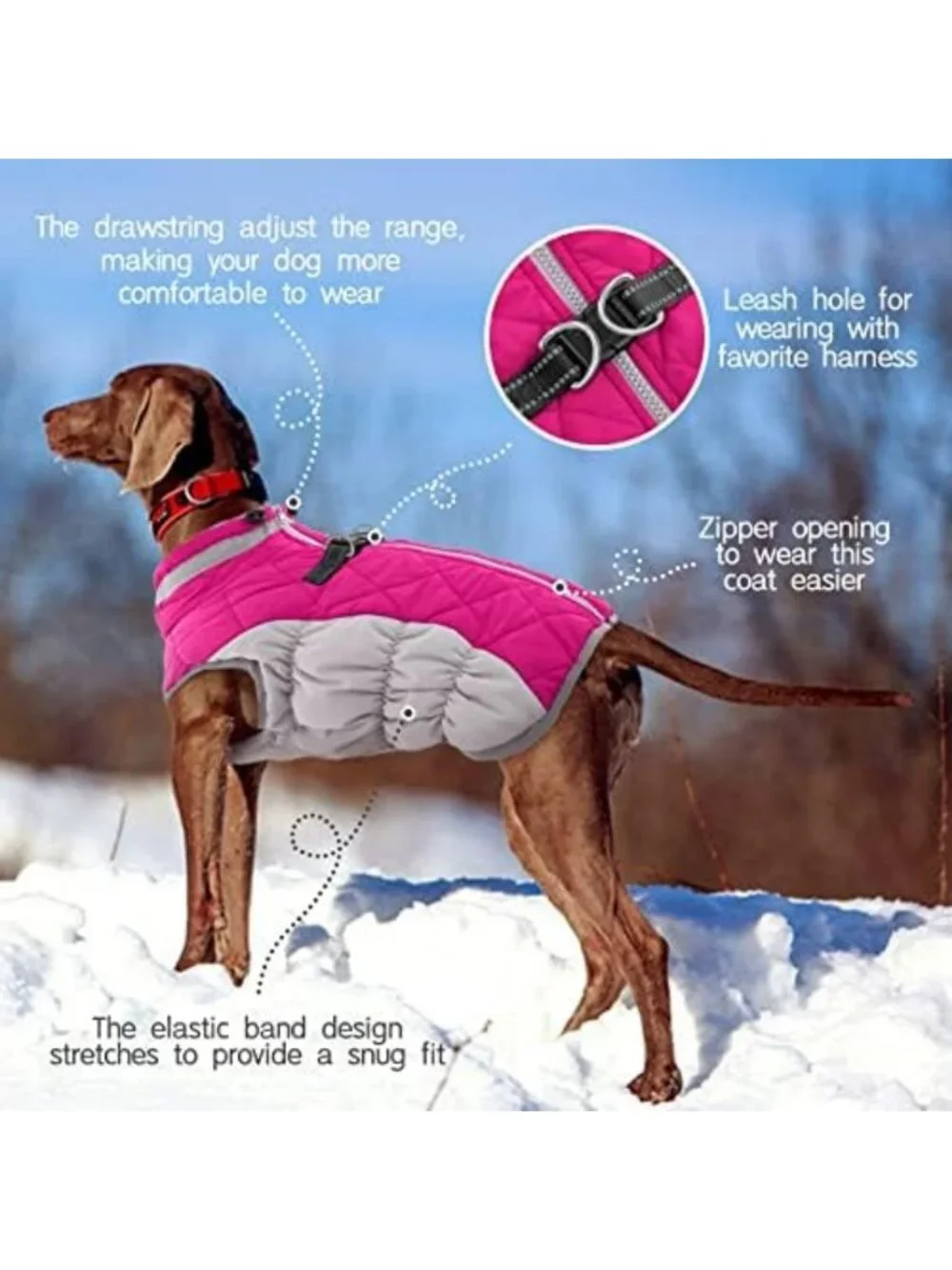 Cozy Fleece Dog Winter Jacket for Small Dogs with Harness - Warm Pet Coat